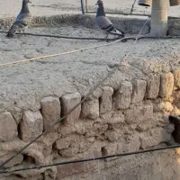کفتر
