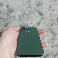 iphone 13 Pro|موبایل|سلماس, |دیوار