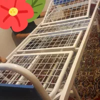 تخت بیمارستانی