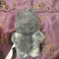 لبو بو سکرت|اسباب‌‌بازی|قم, پردیسان|دیوار