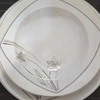 سرویس چینی غذاخوری ۱۸ نفره ۵۲۰۰۰۰۰ تومان