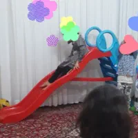 سرسره اسباب بازی شش پله