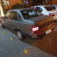 دووسیلو فابریک بی رنگ|خودرو سواری و وانت|پرند, فاز ۵|دیوار