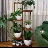 تولید و پخش جاگلدانی  و استند