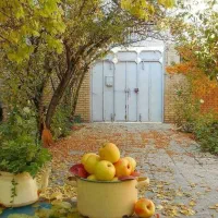 دنبال همخونه موجه هستم