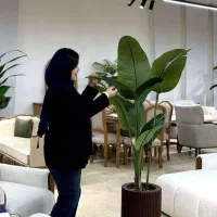 درختچه پرنده بهشتی 10 برگ مصنوعی