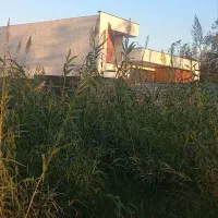 زمین مسکونی شمال|فروش زمین و ملک کلنگی|گلبهار, شهر جدید گلبهار|دیوار