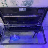 آکواریوم شرکتی ماهیران با کلیه تجهیزات|ماهی|اهواز, رسالت|دیوار