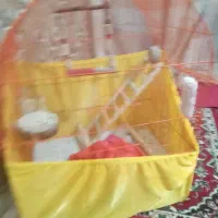 قفس بزرگ برا عروس هلندی یا هر پرنده ای