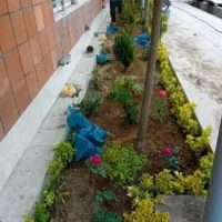 خدمات باغبانی گل کاری هرس کاری تعویض خاک گلدان|خدمات باغبانی و درختکاری|پردیس, فاز ۸|دیوار