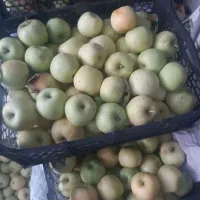 سیب مخصوص آبگیری سالمم هست
