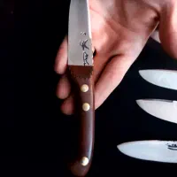 چاقو های کلکسیونی