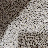 خوراک دام و طیور