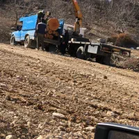 خرید چوب باهنر