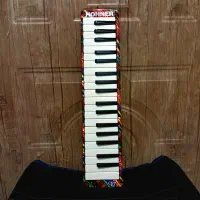 مولودیکا ۳۷ کلید (HOHNER)  طرح چند رنگ|پیانو، کیبورد، آکاردئون|کیش, |دیوار