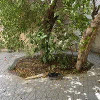 اجاره خانه ویلایی ۱۰۰ متری ۲ خوابه در کلاهدوز|اجارهٔ خانه و ویلا|مشهد, کلاهدوز|دیوار