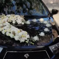 گل آرایی.ماشین عروس.تاج گل