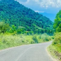 405زمین‌ مسکونی کوهپایه جنگلی  باپروانه ساخت
