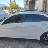 باسلام النترا نیم فول درحد خشک
