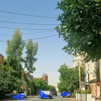 18-5-قصب-تجاری-بر-بلوار-امام-جمعه