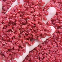 زرشک قائنات|خدمات پذیرایی، مراسم|قائن, |دیوار