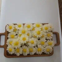 شمع بابونه رو آبی|صنایع دستی و سایر لوازم تزئینی|تهران, خانی آباد نو شمالی|دیوار