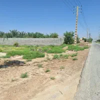 فروش فوری زمین
