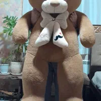 عروسک خرس قهوه ای|اسباب‌‌بازی|ری, علایین|دیوار