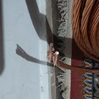 سیم ارت. کابل گراند چاه . ارت زمین- صفحه مسی|مصالح و تجهیزات ساختمان|شیراز, میرزاکوچک خان|دیوار