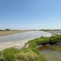 ده/10هزار متر زمین کشاورزی