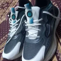 کفش سایزه ۴۳