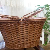 سبد مسافرتی