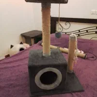 اسکرچر وخانه  ساخته شده