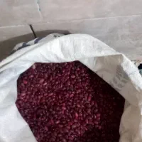 لوبیا قرمز|عمدهفروشی|بیرانوند, |دیوار