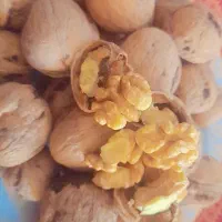 فروشی