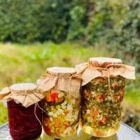 انواع ترشیجات ارگانیک و بهداشتی|خوردنی و آشامیدنی|رشت, نامجو|دیوار