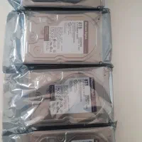 هارد وسترن بنفش