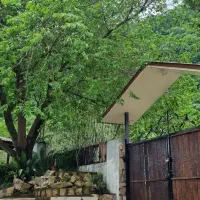 استخردار لوکس جنگلی|اجارهٔ کوتاه‌مدت ویلا و باغ|رامسر, |دیوار