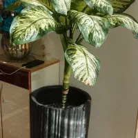 گل‌های زیبا وطبیعی