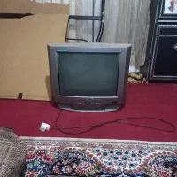 تلویزیون
