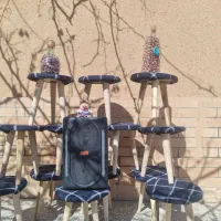 پاف|صندلی و نیمکت|اصفهان, بوستان ناژوان|دیوار