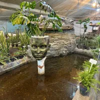 کارگر ساده گل فروشی ۱۵ تا ۲۰ سال با جای خواب