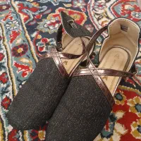 کفش مجلسی|کیف، کفش، کمربند|قم, شهر قائم|دیوار