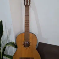 گیتار رویال