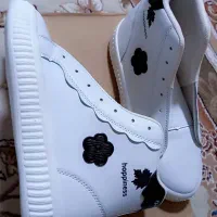 کفش|کیف، کفش، کمربند|سرپل ذهاب, |دیوار