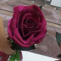 گل و گلدان|گل مصنوعی|ارومیه, |دیوار