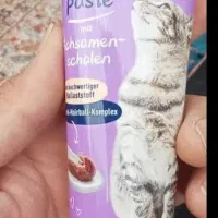 مالت گربه وینستون