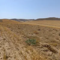 سرویس دهی با سواری به تمام نقاط کشور