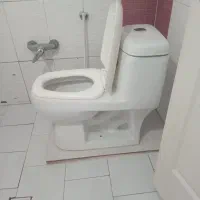 توالت فرنگی سالم تمیز|لوازم سرویس بهداشتی|ری, علایین|دیوار