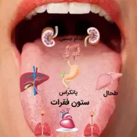 چقدر برای درمان‌معده هزینه کردی  آیا فایده داشته|آرایشی، بهداشتی، درمانی|بندر ماهشهر, |دیوار